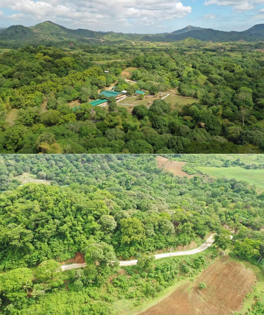 Prime Agricultural Land